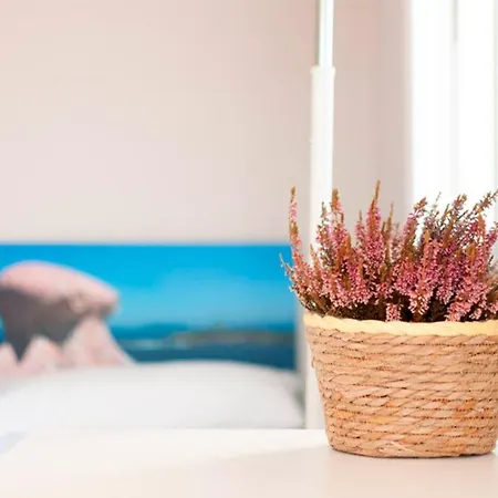 Estudante Guest house *